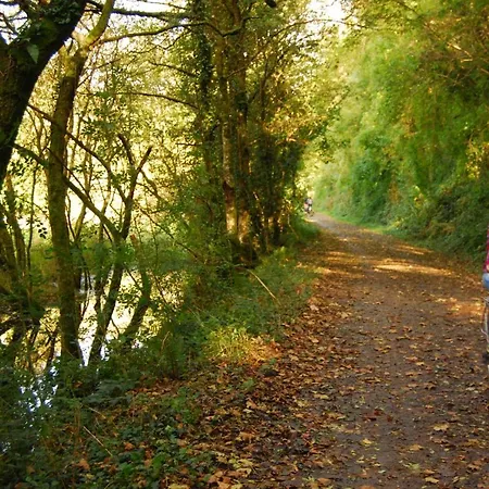 Kingfisher Cabin, Butterwell Farm, Riverside On 40-acre Private Estate Holiday home *