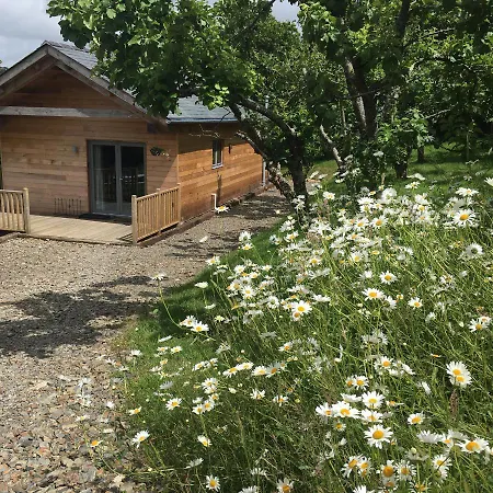 Kingfisher Cabin, Butterwell Farm, Riverside On 40-acre Private Estate Holiday home Bodmin