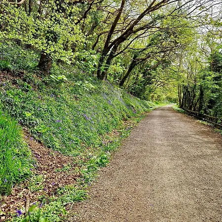 Kingfisher Cabin, Butterwell Farm, Riverside On 40-acre Private Estate *